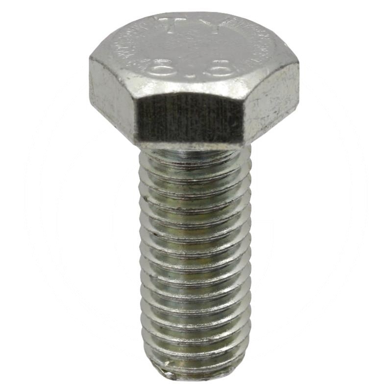 Bolt | zdjęcie nr 1